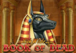 Book of Dead slot machine bonus spins