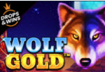 Wolf Gold 5 reel slot machine wilds